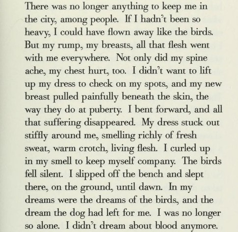 There was no longer anything to keep me in the city, among people. If I hadn't been so heavy, I could have flown away like the birds.

But my rump, my breasts, all that flesh went with me everywhere. Not only did my spine ache, my chest hurt, too. I didn't want to lift up my dress to check on my spots, and my new breast pulled painfully beneath the skin, the way they do at puberty. I bent forward, and all that suffering disappeared. My dress stuck out stiffly around me, smelling richly of fresh…