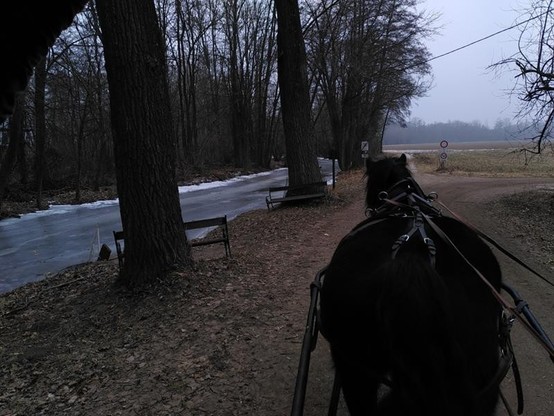 #potd A nice (but cold) ride with a horse draw carriage and a very old friend from school (who owns the horse and carriage) https://domm.plix.at/potd/2026-01-23.html