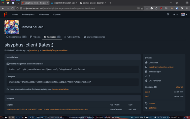 A screenshot of the Docker container for the Sisyphus client coming in at 493MB.