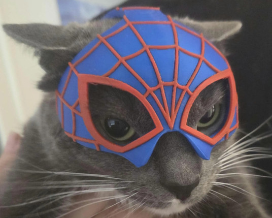 Cat with a 3D printed mask