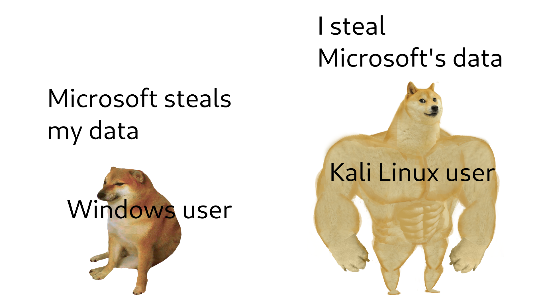 Windows user: Microsoft steals my data.
Kali Linux user: I steal Microsoft's data.