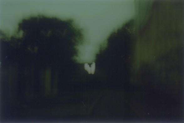 blurry photo by @policefala of a street and its trees