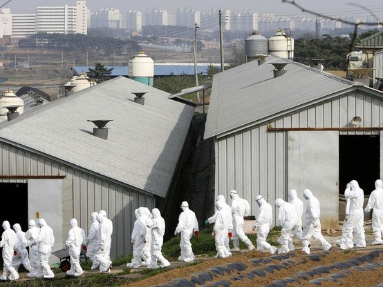 group of people in white hazmat? suits walking to work in front of some buildings