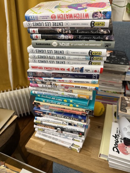 A stack of manga. Not going to name them all but it’s 44cm high — for now