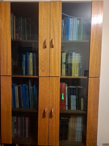 A mesma estante da foto anterior, porém agora com as portas fechadas, de modo que agora só alguns dos livros são visíveis através de um vidro fumê.