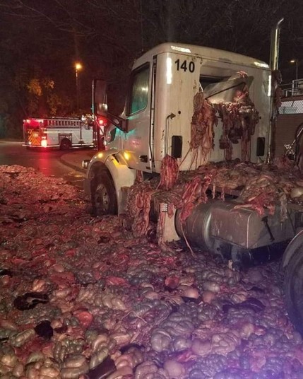 blood and guts and smashed rear and blocked truck without cargo