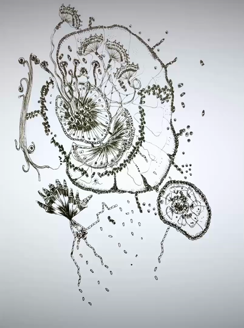 Ink drawing; plantal structures; sequences; cellular; original title "growth and becoming" 