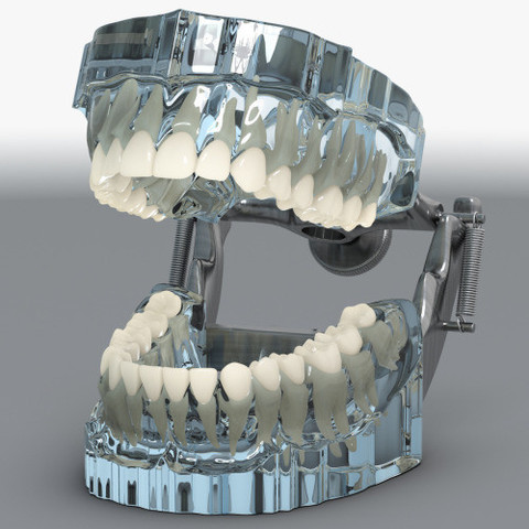 false teeth