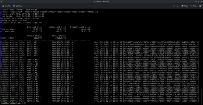 One year's worth of Borg backups.