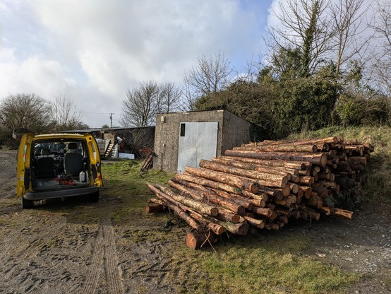 A huge pile of logs next to a normal-sized van