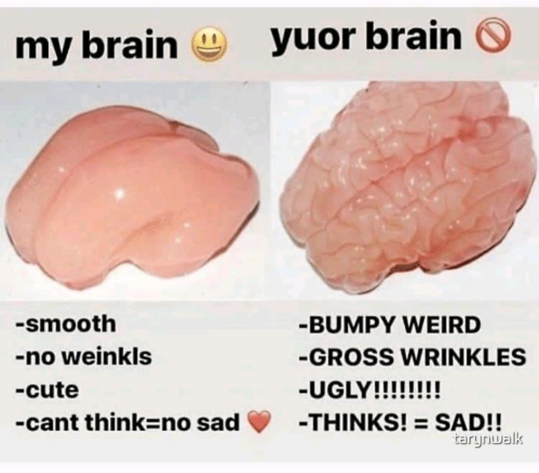 my brain
-smooth
-no weinkls
-cute
-cant think=no sad ♥️

yuor brain
BUMPY WEIRD
-GROSS WRINKLES
-UGLY!!!!!!!
-THINKS! = SAD!!