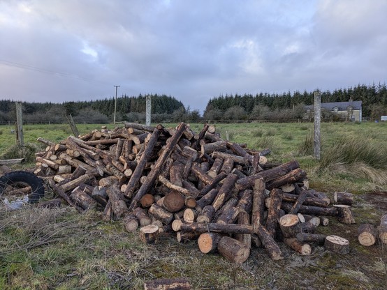 A big fuckoff pile of wood