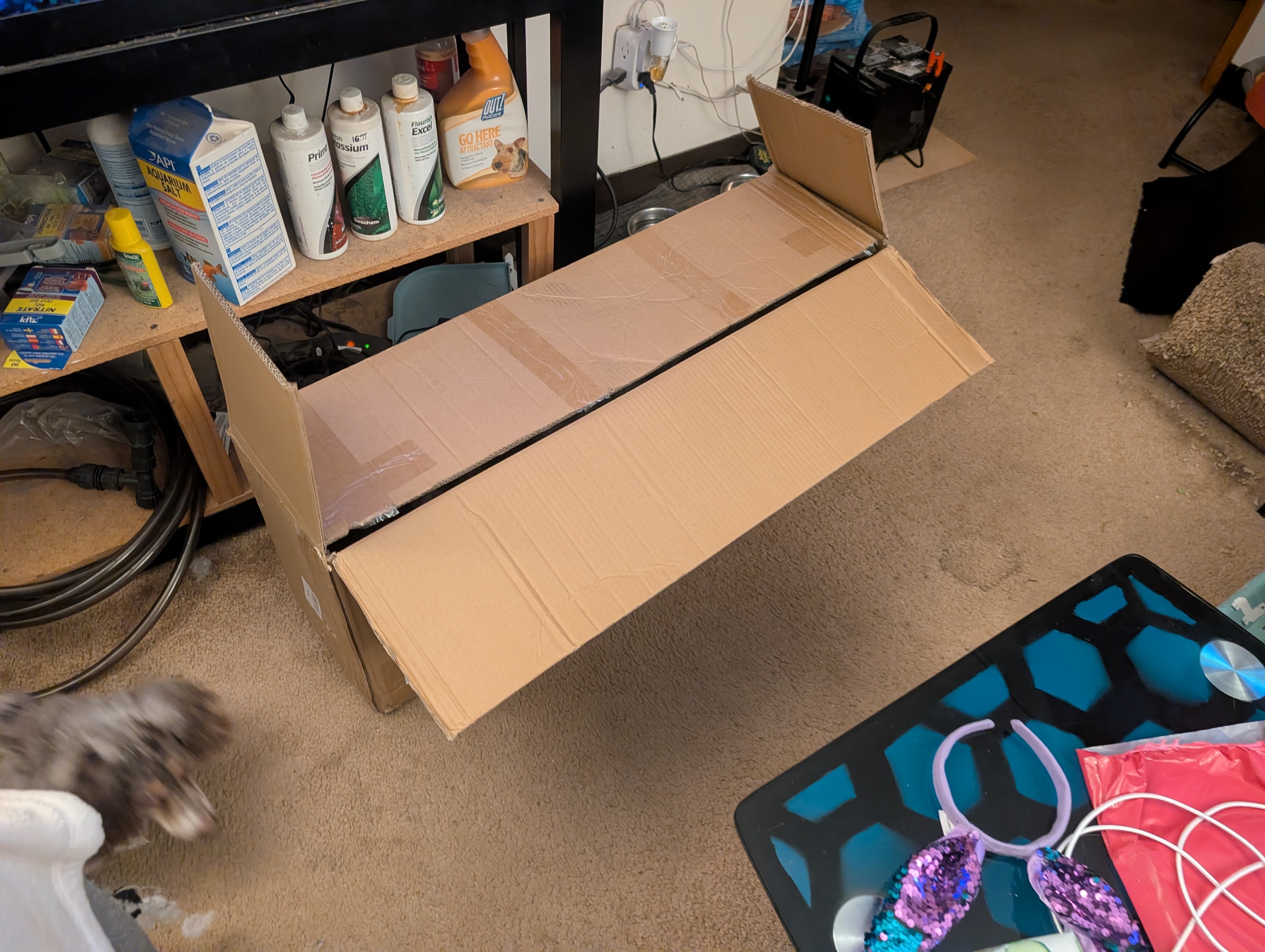 A living room with a large box.