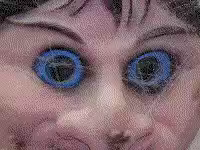 paper rad of many faces