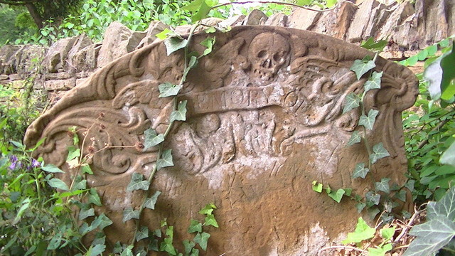 a sandstone headstone. carved winged head and winged skull. words have weathered away with time. it was sunny that day. some ivy grows over the gravestone, also what looks like belladonna in bloom in the foreground on the left. dry stone wall in the background.