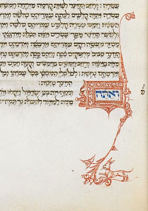 Hare running at the base of the initial-word panel which marks the beginning of Torah portion Tetsaveh (תְּצַוֶּה). #ParashahPictures   
BL Add MS 15423; Pentateuch; 1441 CE-1467 CE; Italy (Florence); f.54r
