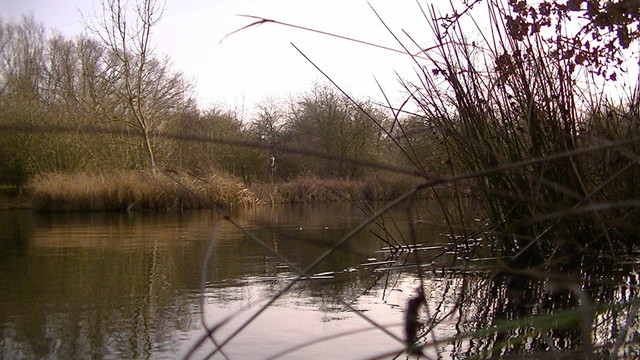 a calm lake with island in the middle covered in brown winter reeds, dull sky, all reflected in the water. some brown grass in foreground on the bank i took photo from. forgot my glasses so it took ages to try and manually focus with this crap camera with a barely responsive touch screen, good enough for jazz tho :)
