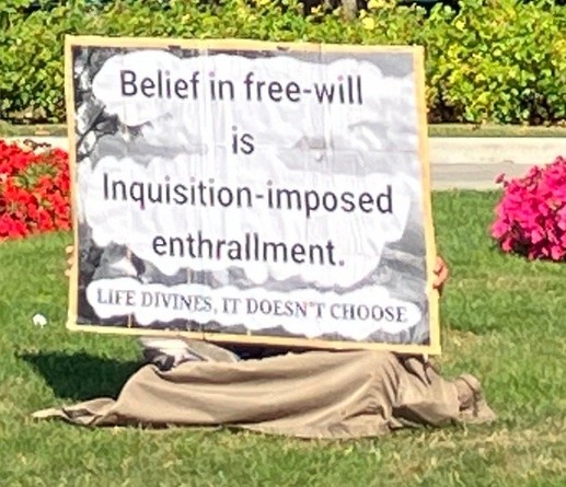 Belief in free will is inquisition imposed enthrallment. life divines, it doesn't choose
