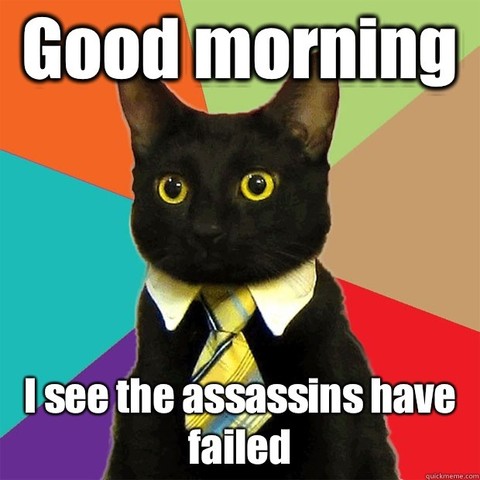 A picture of a cat with the text Good morning - I see the assassins have failed