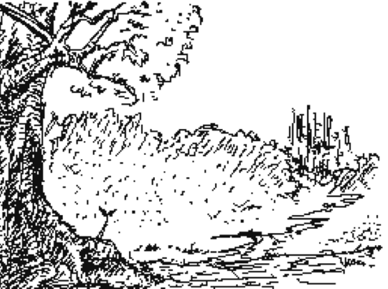 flying bunny into tree