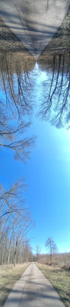 Panoramatický snímek kde dole je pohled na cestu jarním lesem ještě bez listů, cesta vede do dáli, uprostřed je pohled nahoru na modrou oblohu a úplně nahoře zase stromy a cesta vedoucí zpět