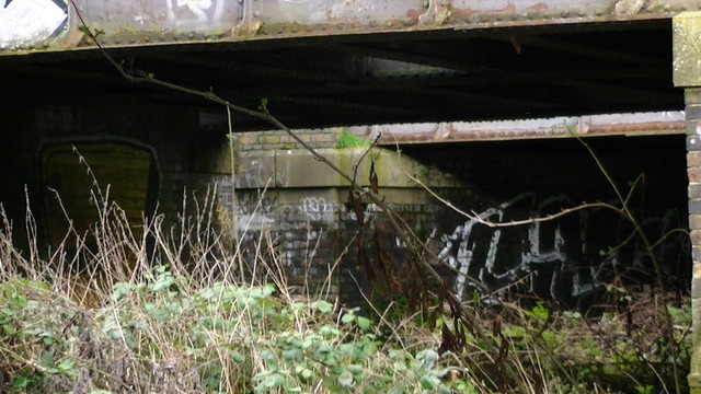 wild growth underneath a couple of Victorian blue brick pier railway bridges with steel plate girder spans. plenty graffiti 