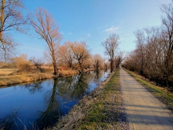 Cyklostezka kolem Baťova kanálu u Strážnice. V levo kanál na jehož hladině se odráží stromy a v pravo cyklostezka táhnoucí se do dáli. Stíny jsou dlouhé, je brzké dopoledne a obloha modrá, téměř bez mráčku.