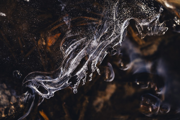 ice. dont remember what the photo is of and who took it but its beautiful