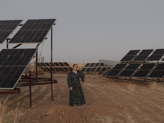 photo by Matteo Trevisan. solar panels, desert, gray sky and old lady in matching color dress