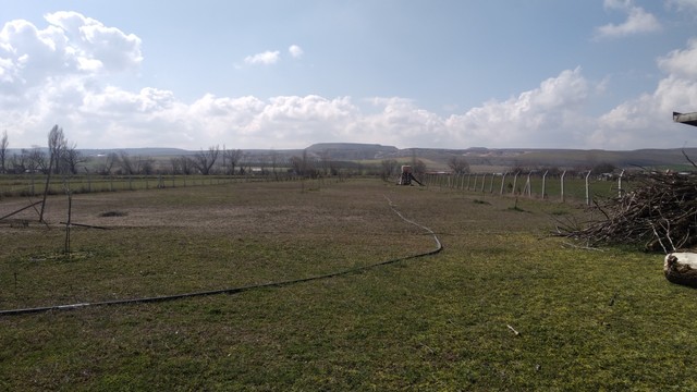 Yeni yeşermeye başlamış bir bahçe fotoğrafı. Yerler yeşermiş ama ağaçlar yeşermemiş