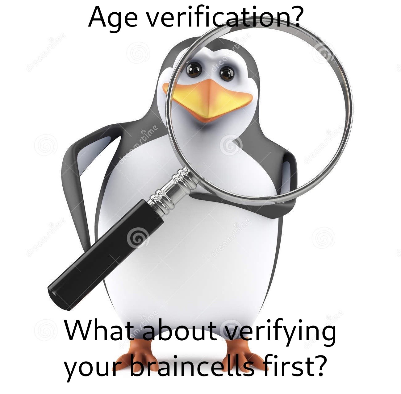 Age verification? What about verifying your braincells first?