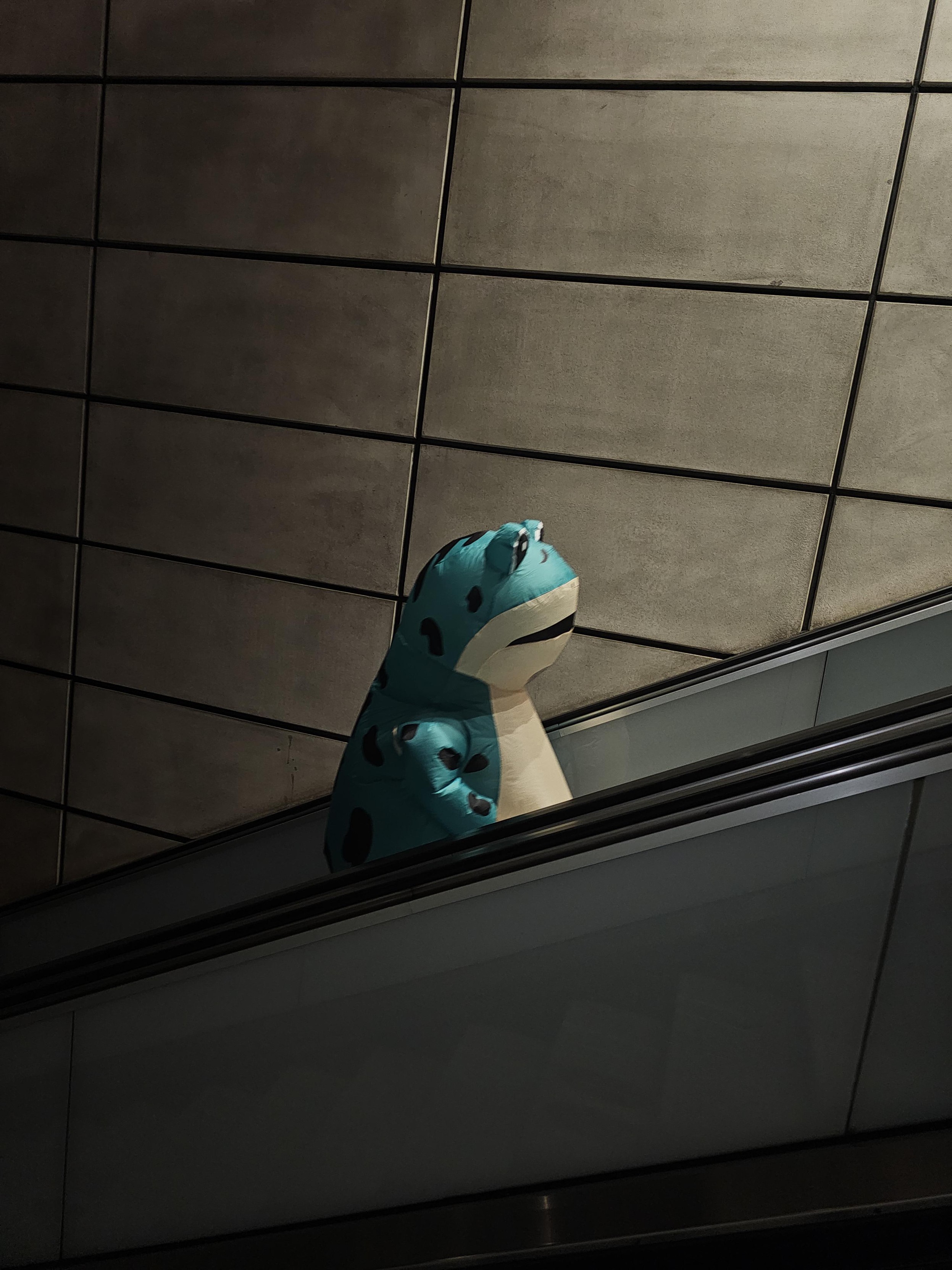 sad inflatable frog going up escalator