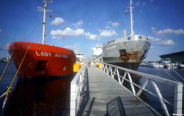 Amsterdam - Nieuwe Hemweg, Neptunushaven - mv Lady Astrid, mv Dreamland