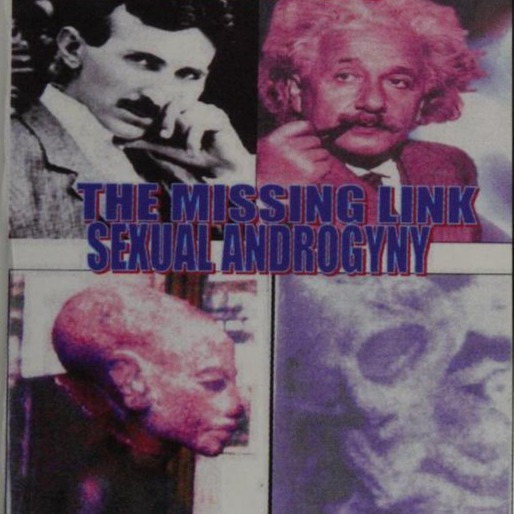 THE MISSING LINK SEXUAL ANDROGYNY
from https://archive.org/details/ormusmissinglink0000bord