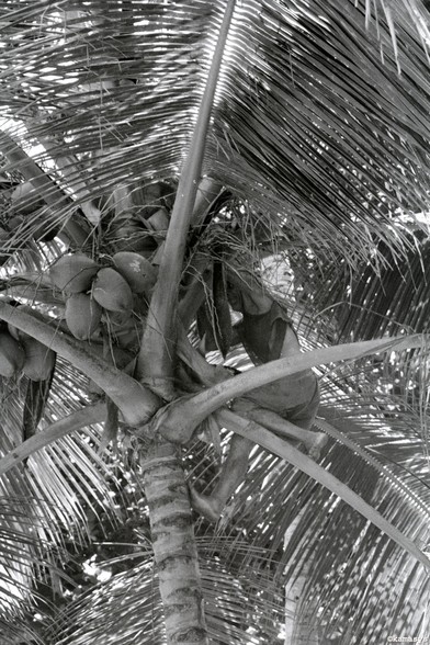 Cuba - Baracoa - Playa Duaba