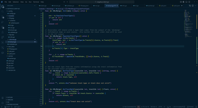 VSCodium opened showing some functions for processing sources and tracks.  The code goes through all of the tracks and grabs the track type from each source's `mkvmerge` output.