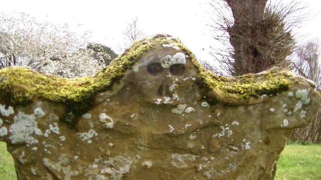 a skull carved on top of grave stone. the stone has patches of white lichen, a couple of patches above the skull's left eye socket. moss draped over the top of the skull's head that extends like green hair either side on top of the grave stone. trees in the background, one of them in full white blossom