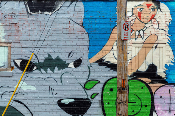 photo by Don Sniegowski. princess monotone art painted on building bricks, a pole with a no parking sign in front