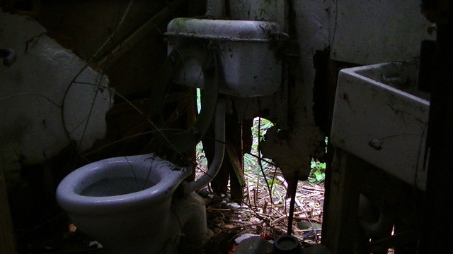 a dilapidated old wooden shit house (toilet room) cistern, toilet bowl and sink. the wooden walls rotting away around it, leafless creeping plants sparsely growing around the place.