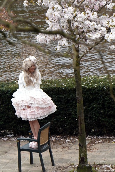 Amsterdam – Jozef Israëlskade - Sakura