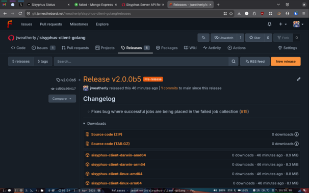 A screenshot of the 2.0.0b5 release on my personal Forgejo instance.