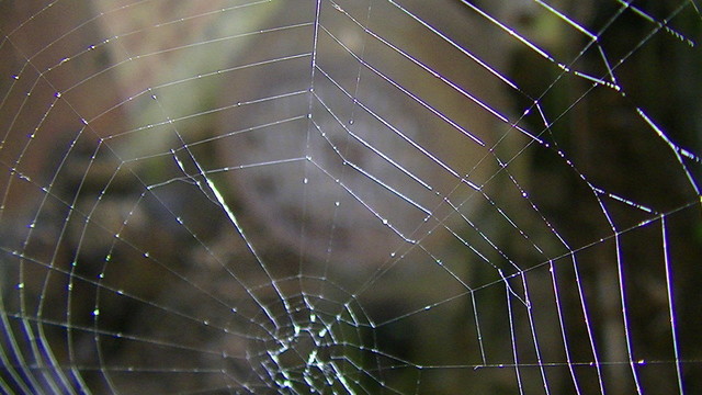 an illuminated spiders web with an old rusty electric motor in the background