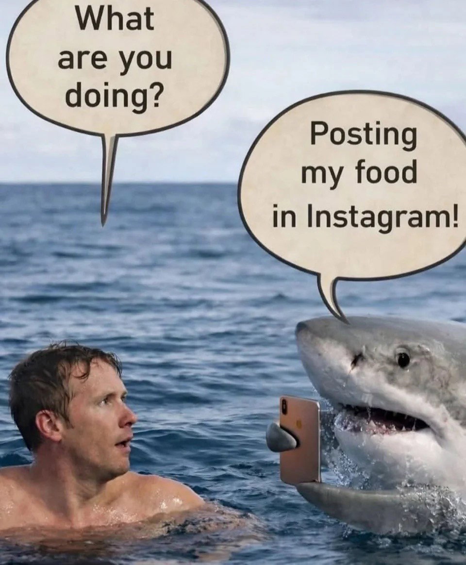 Posted media