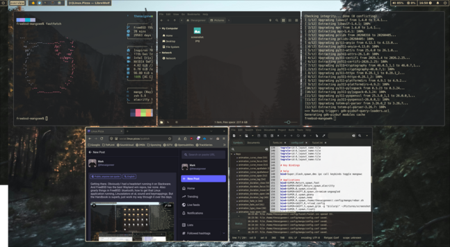 Scrot of the overview in MangoWM, in this particular case running on FreeBSD.