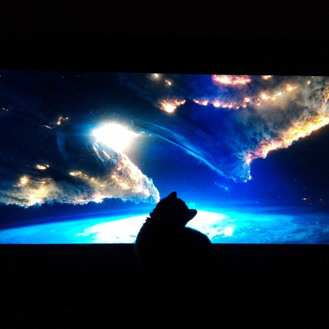 a cat in front of a large television screen showing an epic space battle