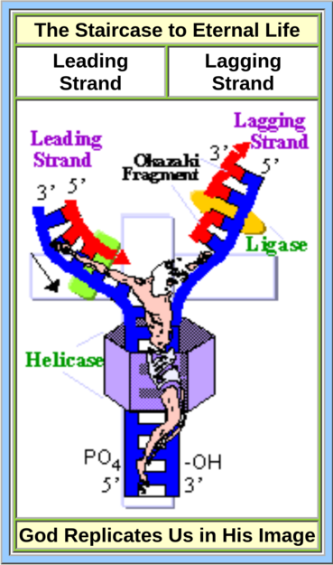 staircase to eternal life jesus crucified on dna