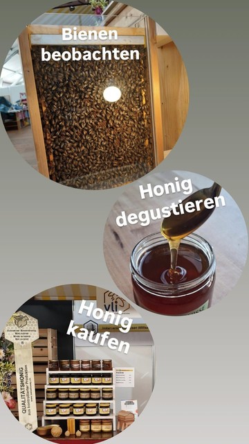 Ein Bild mit drei Runden Bildern.
Auf einem Bild ist eine Bienenwabe mit Bienen abgebildet. Darauf steht "Bienen beobachten"
Auf dem mittleren Bild ist ein offenes Honigglas mit einem Löffel voll Honig abgebildet. Es steht "Honig Degustieren"
Auf dem letzten Bild sieht man einen Ausschnitt eines Marktstands mit einigen Gläsern Honig.  Auf dem Bild steht "Honig kaufen"