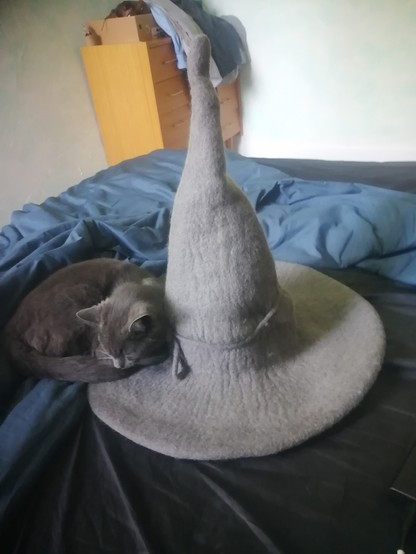 A gray cat napping on the edge of a gray wizard hat that is itself on a disheveled bed