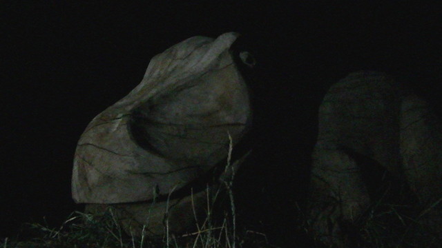 a wooden T-rex sculpture torch lit in the dead of night 