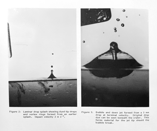 Figure 2: Laminar drop splash showing dyed tip drops and vortex rings formed from an earlier splash. Impact velocity 2 m s-1.

Figure 3: Bubble and down jet formed from a 3 mm drop at terminal velocity. Original drop dye can be seen beneath the crater. This forms material for the jet tip should the bubble break.